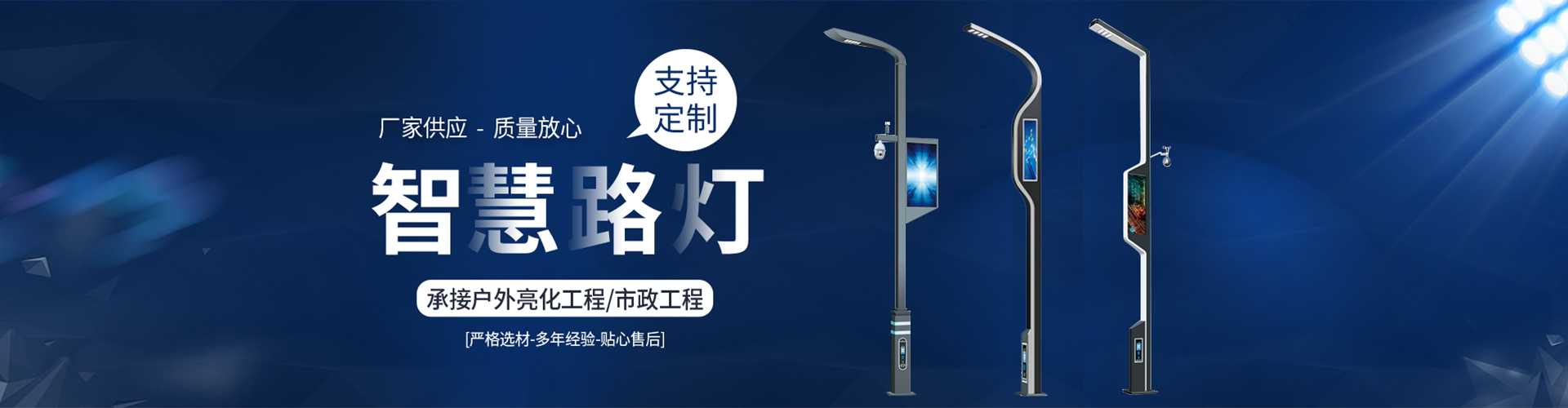 龙湾区太阳能路灯定制厂家