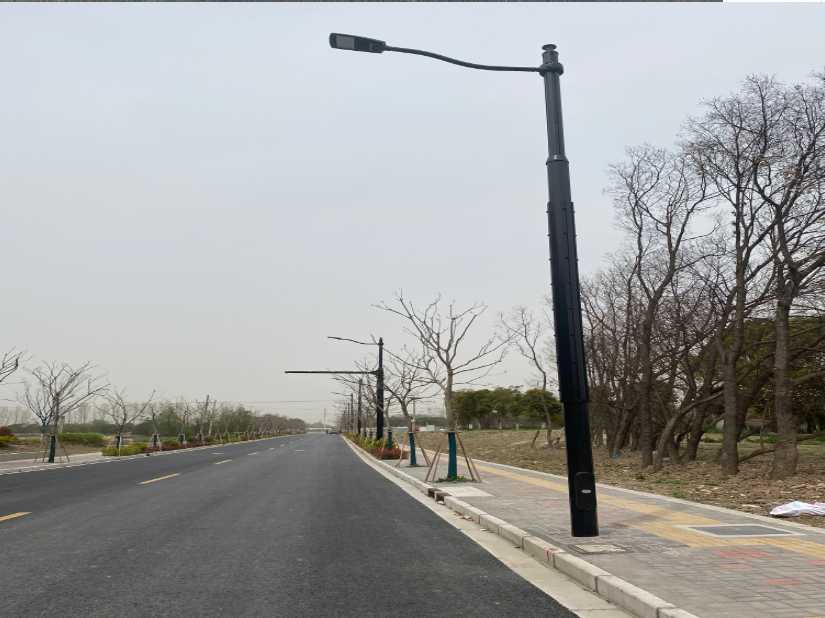 龙湾区上海综合杆 太阳能路灯工程
